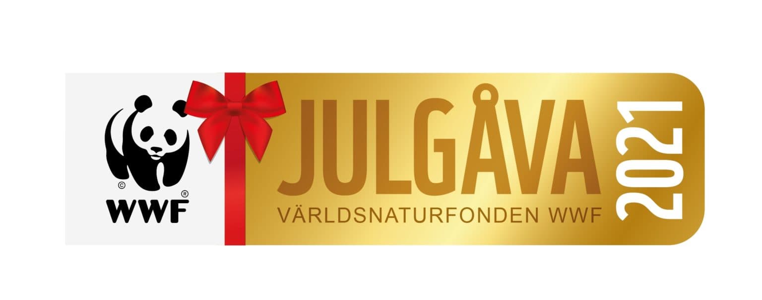wwf julgava 2021