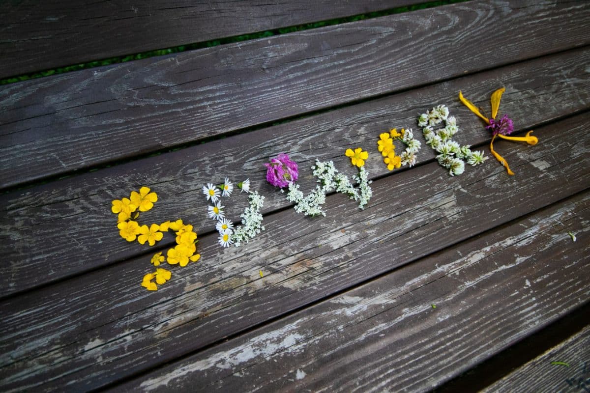 SD Worx goes Nordic – Winners of summer competition!