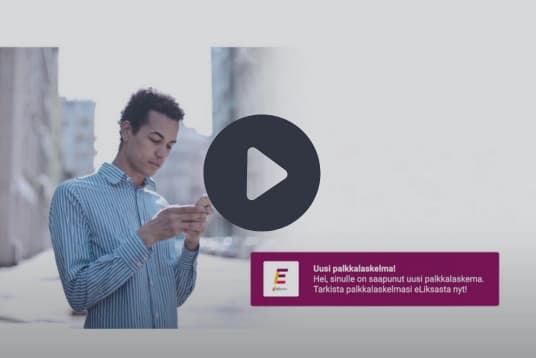 W-palkanlaskentaohjelman demo